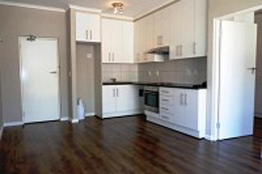 Huge kitchen area with living room